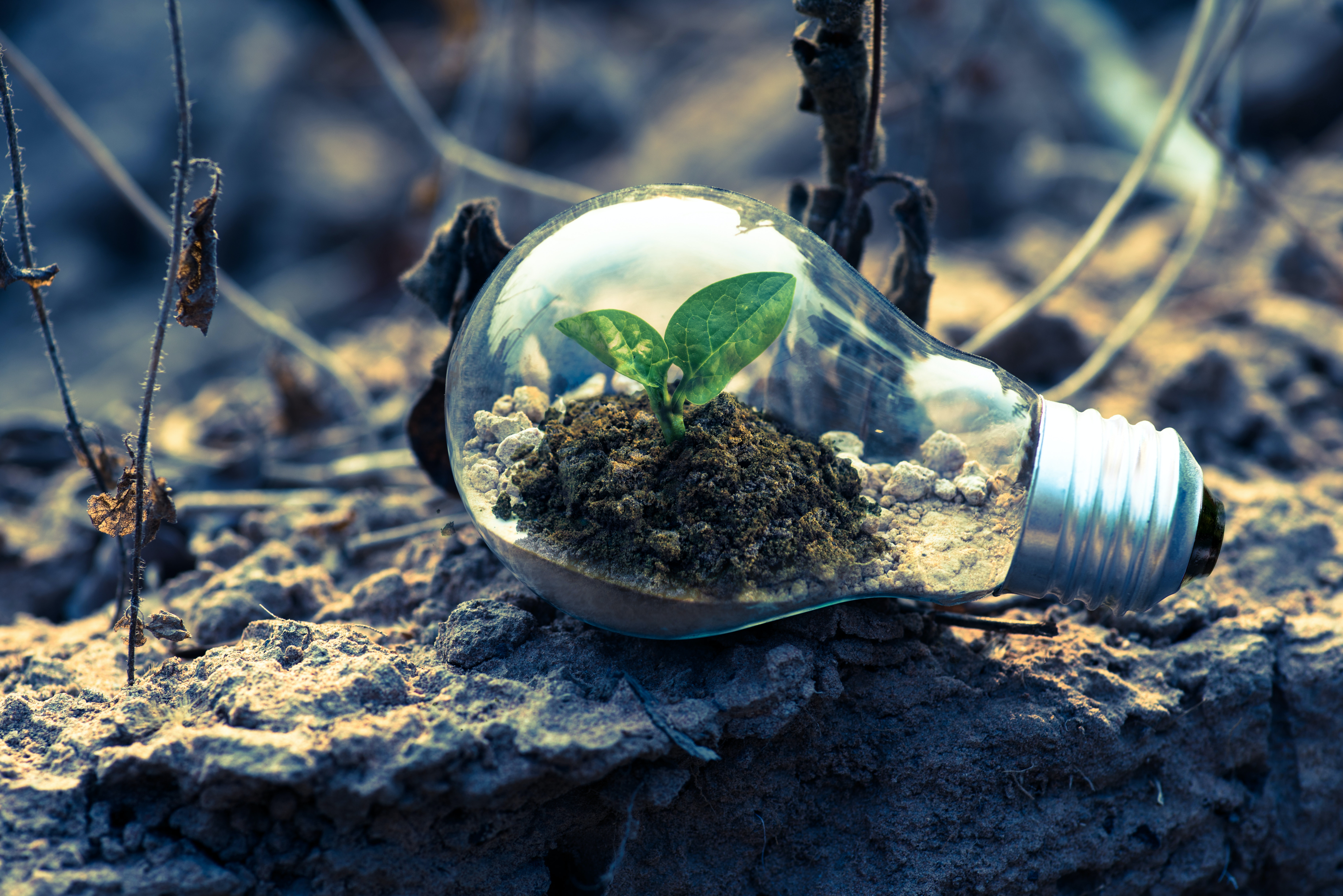 soil pollution img